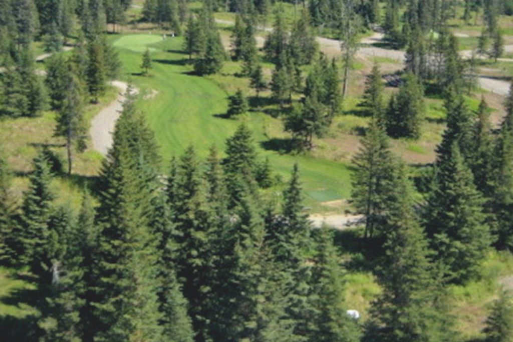 Fireweed Meadows GOLF MAGAZIN